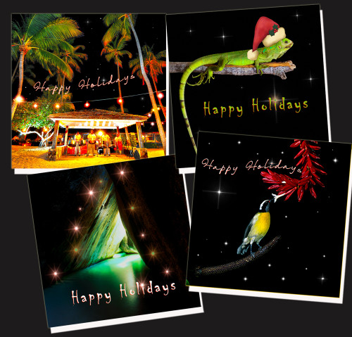 Happy Holidays cards- Pack of eight Happy Holidays cards- Pack of eight
