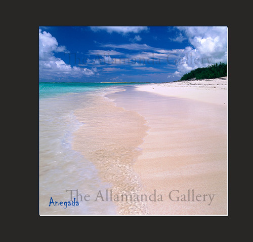 Anegada Card Anegada Card