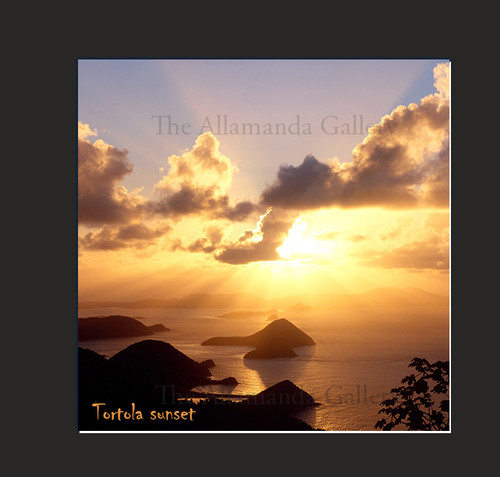 Sunset Card Sunset Card