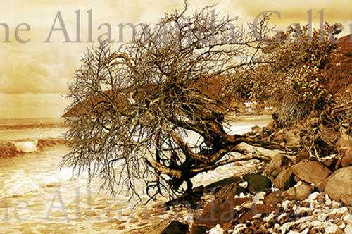 Autumn traditional Autumn traditional