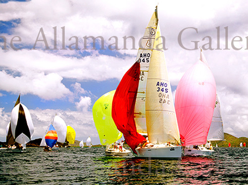 Spring Regatta Spring Regatta