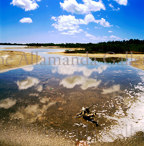 Anegada Salt Ponds Anegada Salt Ponds
