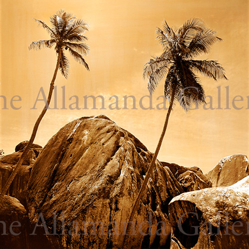 On the Rocks sepia On the Rocks sepia