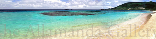 Savannah Bay Panorama Traditional Savannah Bay Panorama Traditional