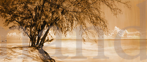 Whistling Pines , Anegada Sepia Panorama Traditional Whistling Pines , Anegada Sepia Panorama Traditional