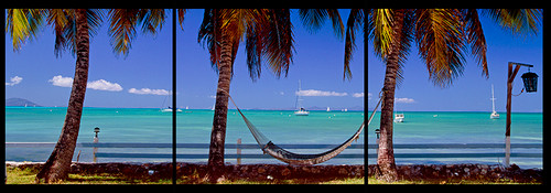 Colours of Anegada Colours of Anegada