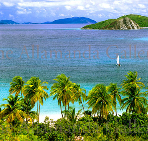View from Peter Island View from Peter Island