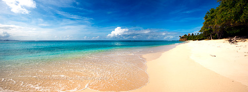 Turtle beach pano