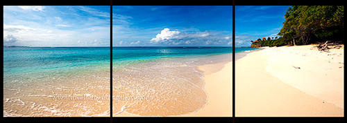 Turtle Beach, Necker Island Turtle Beach, Necker Island