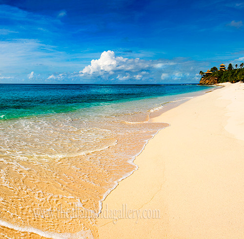 Turtle Beach Canvas Turtle Beach Canvas