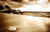 Spring Bay Sepia