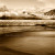 Josiah's Bay Surf Sepia