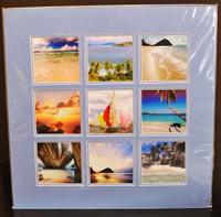 The British Virgin Island Collection 9