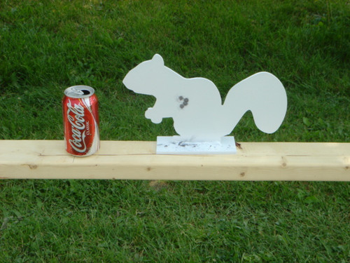 New Steel Squirrel Silhouette Target