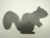 Squirrel Yard Silhouette