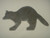 Raccoon - Free Shipping