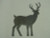 Deer Silhouette - Free Shipping