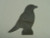 Crow Silhouette - Free Shipping