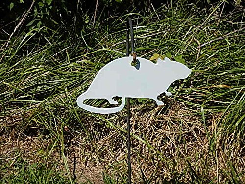 Norway Rat Hanger Gong Target - 3/8" Thick AR500 1 piece(FREE SHIPPING!)