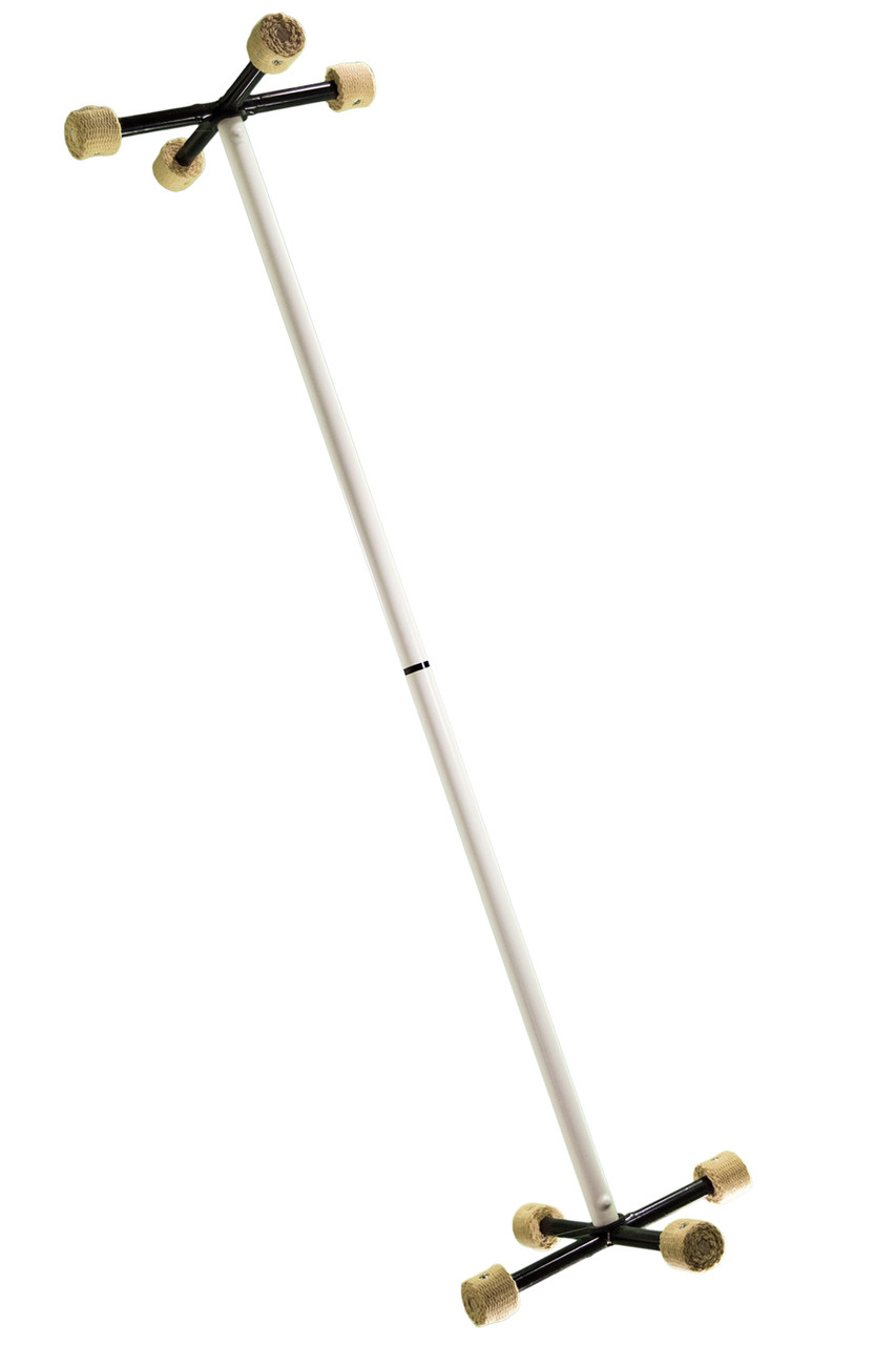 8-Spine Fire Hatchling