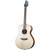 Breedlove ECO Discovery S Concert Lefthand - Sitka Spruce / African Mahogany