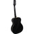 Adam Black O-2 - Trans Black