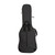 Ritter Bern Electric Bass Guitar Bag - Anthracite (RGB4-B)