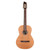 Godin Concert Nylon String Guitar