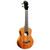 Barnes & Mullins Concert Ukulele - Solid Mahogany. Inc. Gigbag