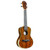 Barnes & Mullins Concert Ukulele - Becote