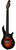 Sterling by Music Man Majesty 7 Dimarzio John Petrucci Signature 7-String Electric Guitar in Tiger Eye