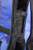 TGI Concert Ukulele Case - Styrofoam Covered