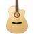 L R BAGGS AEG-1 ACOUSTIC ELECTRIC GUITAR NATURAL