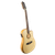L R BAGGS AEG-1 ACOUSTIC ELECTRIC GUITAR NATURAL