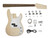 Boston guitar assembly kit
