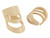 Alaska Pik fingernail pick plastic