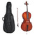 Antoni Debut Cello Outfit ~ 1/4 Size