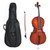 Antoni Debut Cello Outfit ~ 3/4 Size