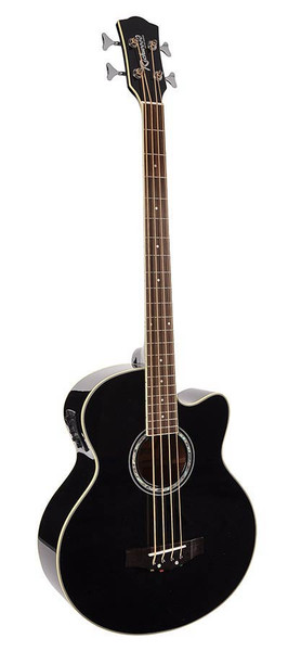 Richwood acoustic bass guitar