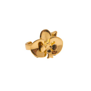 A.PRATA RING ORQ EVOL GD219350