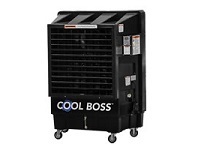 Air Coolers