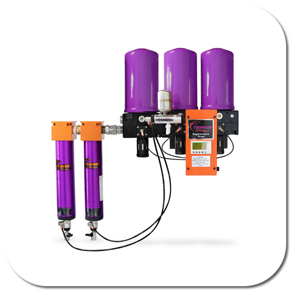 Regenerative Dryer