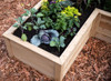 Natural Cedar U-Shaped Raised Garden Beds