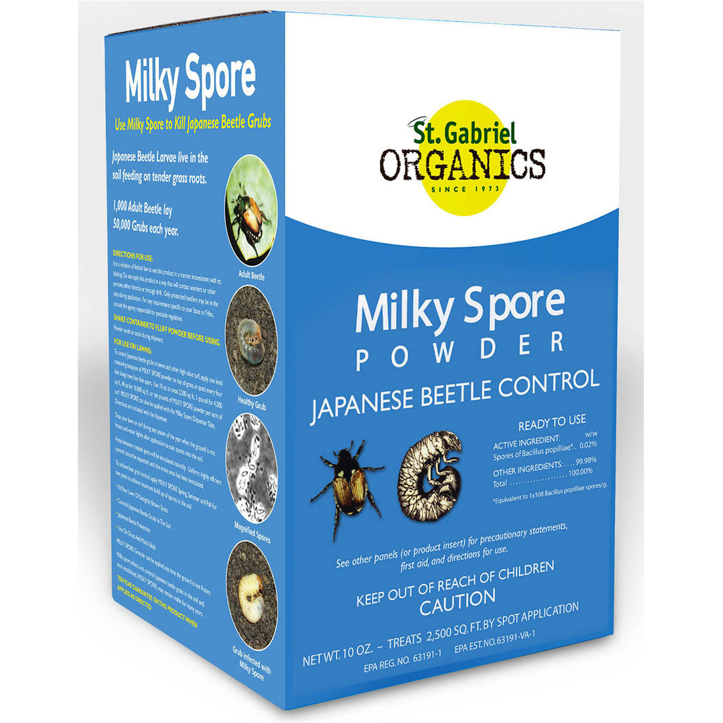 applying milky spore powder