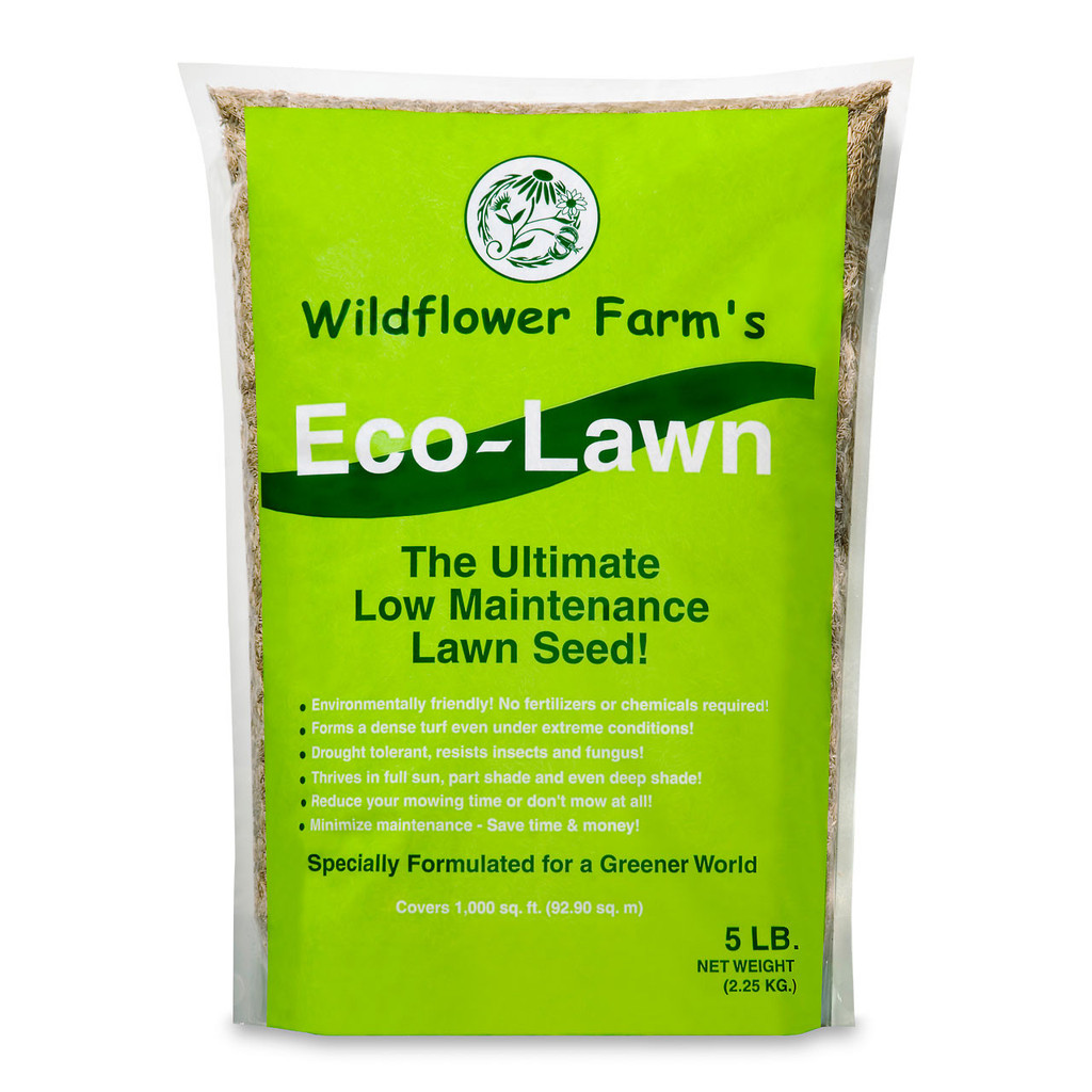 Wildflower Farm's Eco-Lawn Grass Seed - 5 lb