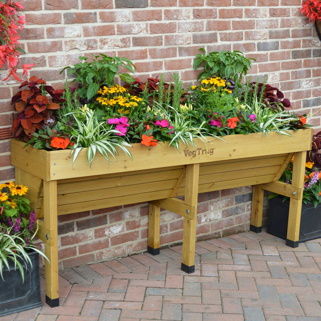 VegTrug Wallhugger Raised Garden Planter | Eartheasy.com