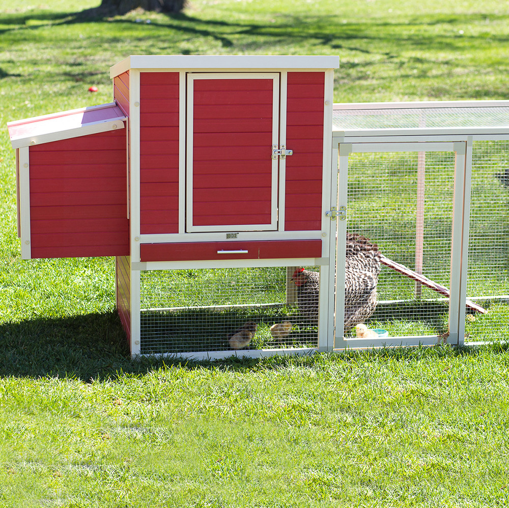 Recycled Plastic Chicken Coop - ECHK604 ALT01 21296.1607367164 Recycled Plastic Chicken Coop - ECHK604 ALT01 21296.1607367164