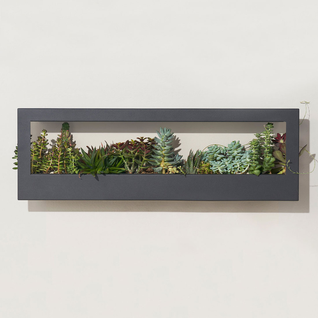 Smart Landscape Grow Frame - Wall Planter & Grow Light