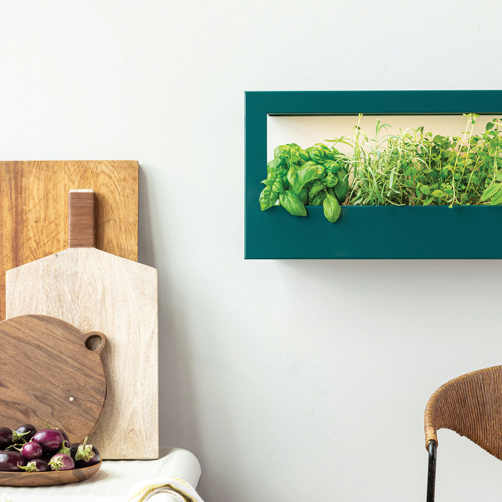 Smart Landscape Grow Frame - Wall Planter & Grow Light