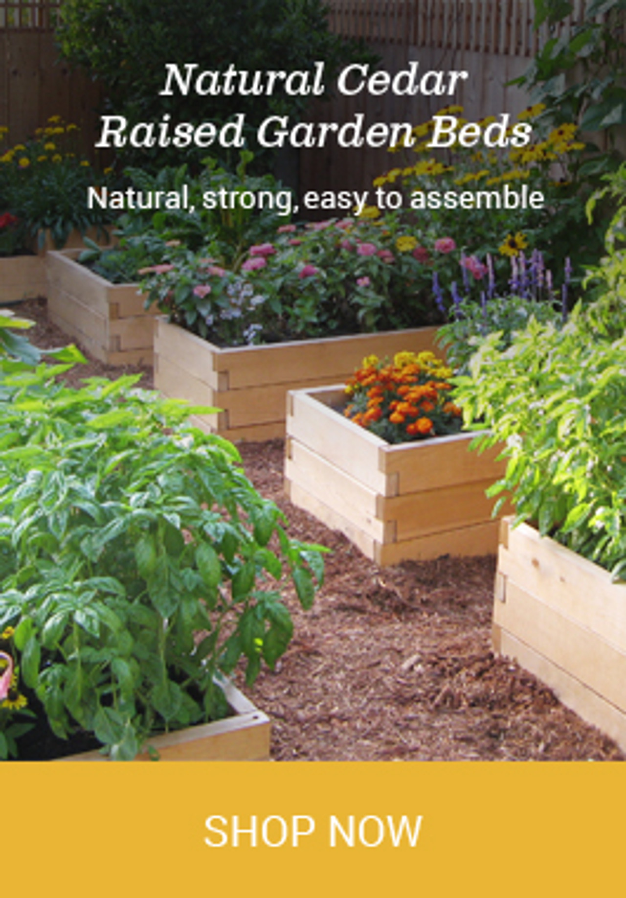 Natural Cedar Raised Garden Beds